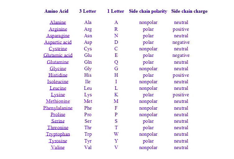 Amino Acid Abbreviations Chart